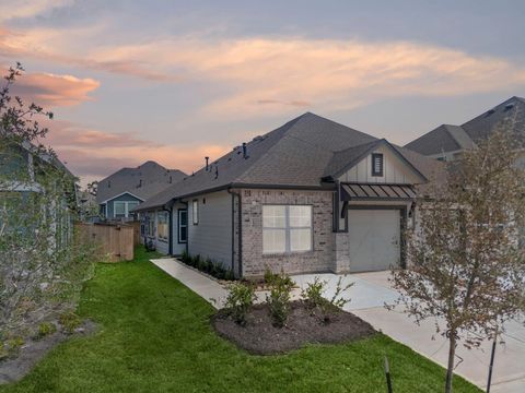 150 West Coralburst Loop Montgomery TX 77316