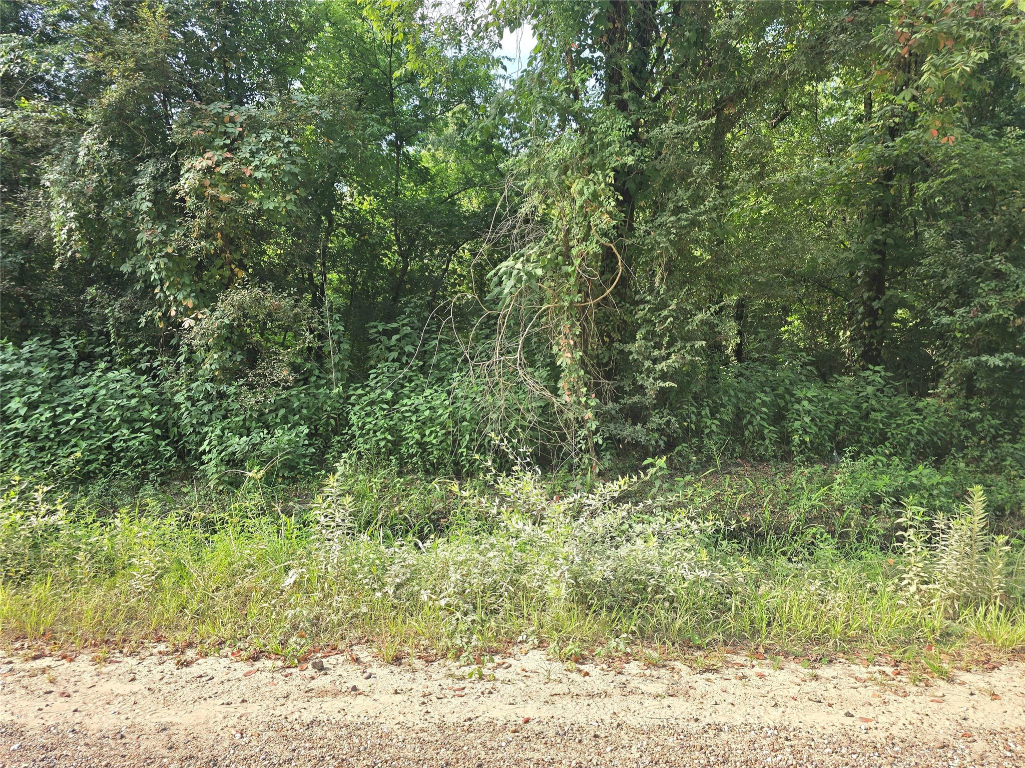 00 County Road 2500