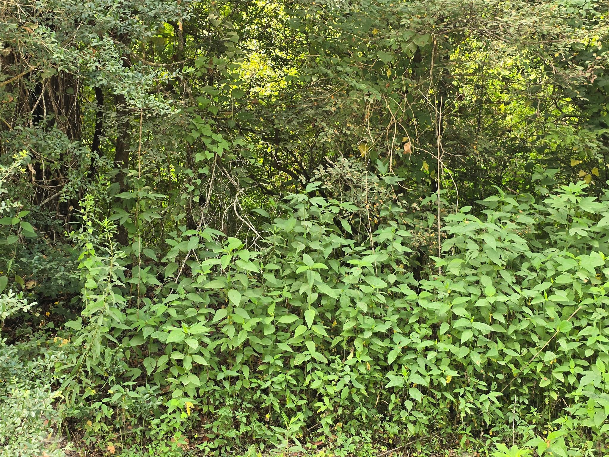 00 County Road 2500
