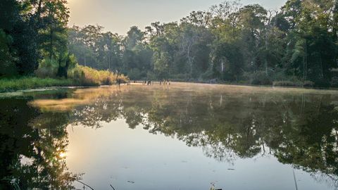 Photo of TBD Butler Road, Livingston, TX 77351 (MLS # 32290554)