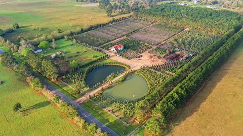 28287 Hegar Road Hockley TX 77447