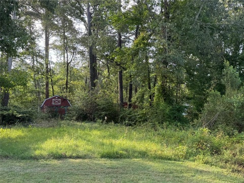 Vacant Land For Sale - TBD Antilles Drive<br/> Point Blank, TX 77364