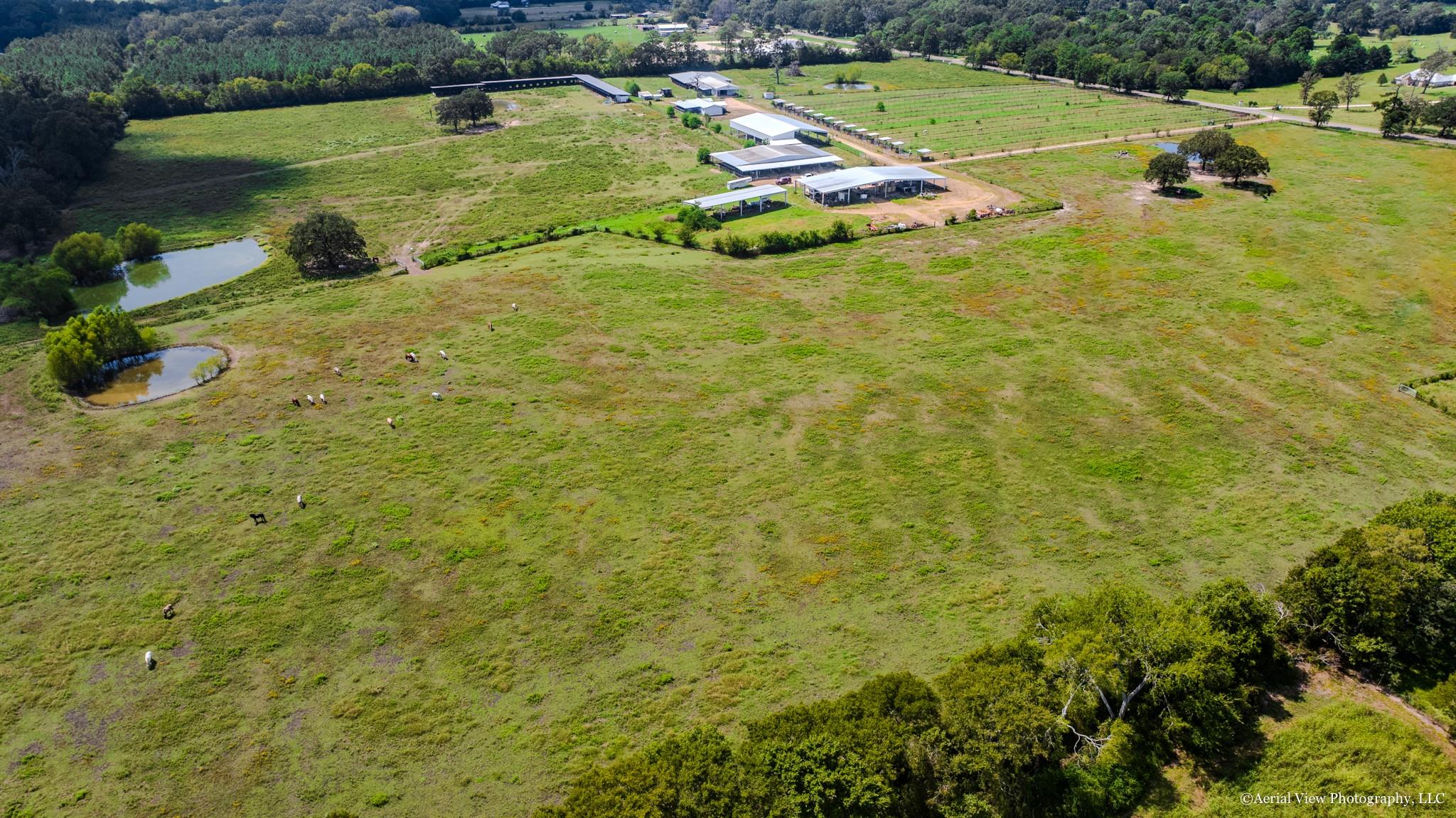 1954 E Fm 1375 Road E