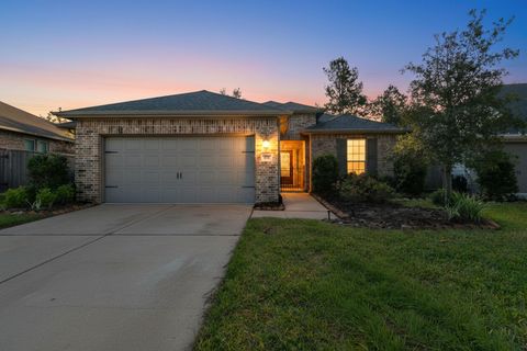 Photo of 214 N Wild Petunia Trail, Montgomery, TX 77316 (MLS # 7786159)