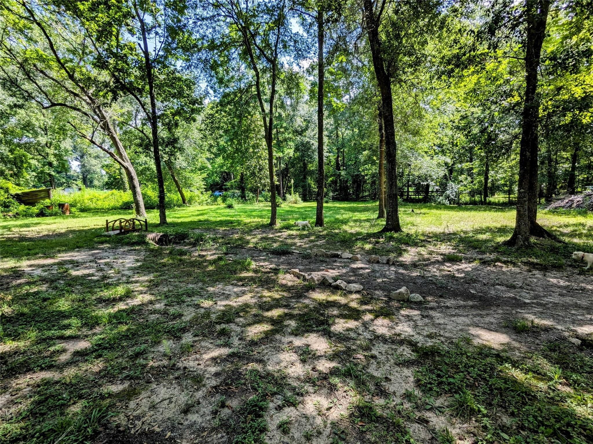 134 Plum Grove Court