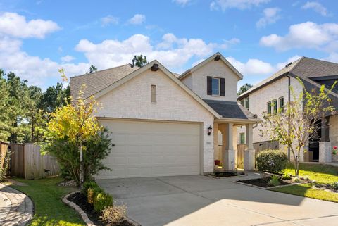 254 Aster View Court Montgomery TX 77316