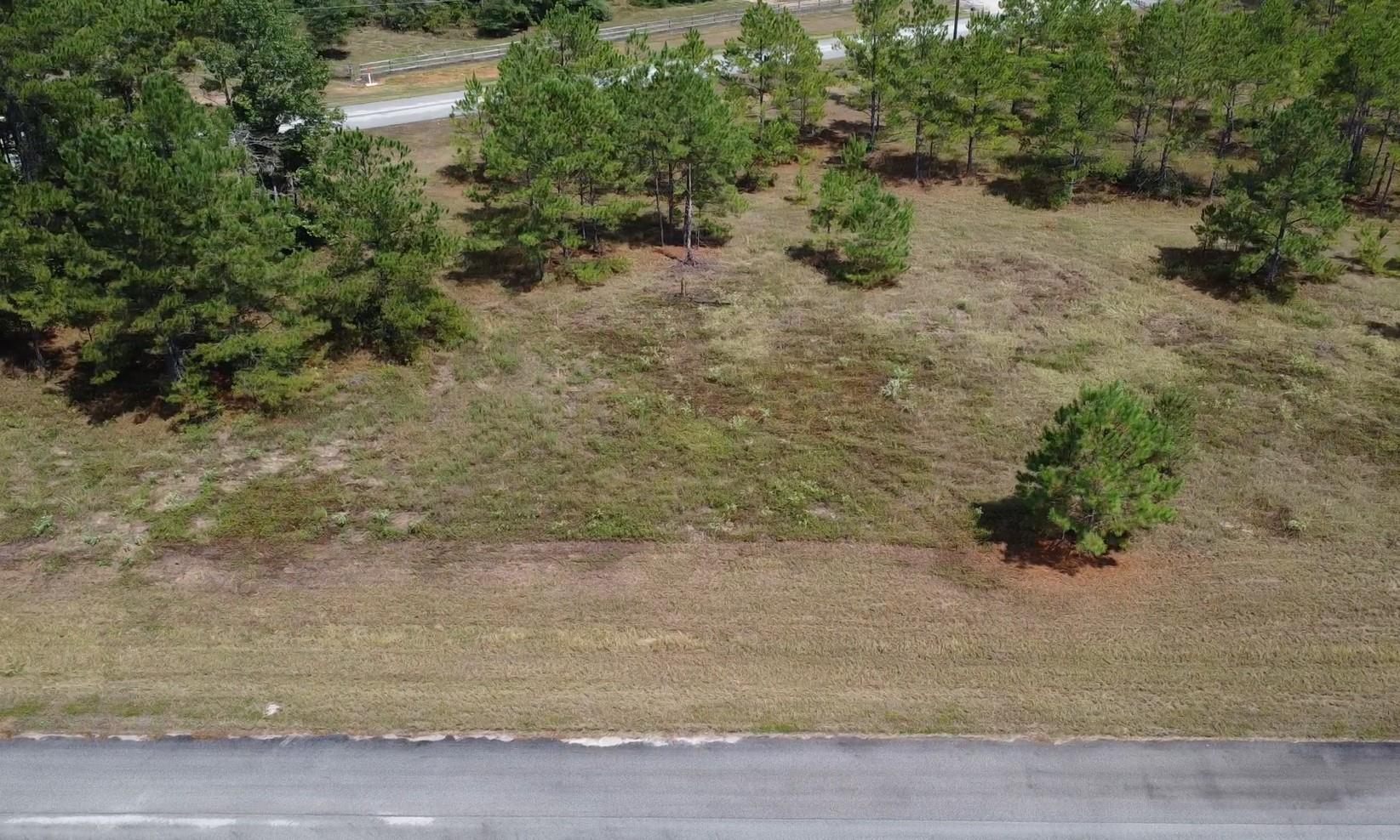 TBD Bambi Court