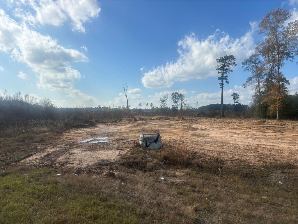 Photo of 1175 Road 5883 Road, Cleveland, TX 77327 (MLS # 60211959)