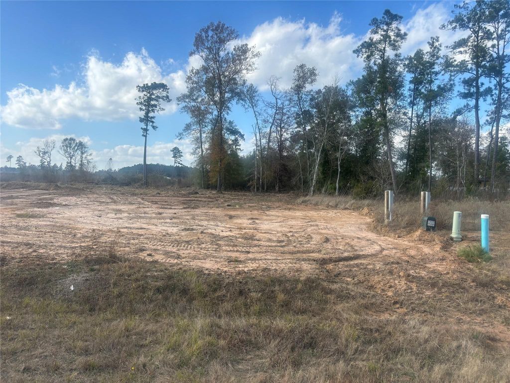 Photo of 1175 Road 5883 Road, Cleveland, TX 77327 (MLS # 60211959)