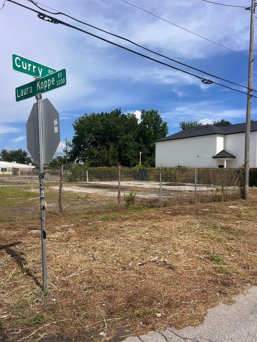 Photo of 3202 Laura Koppe Road, Houston, TX 77093 (MLS # 56614110)