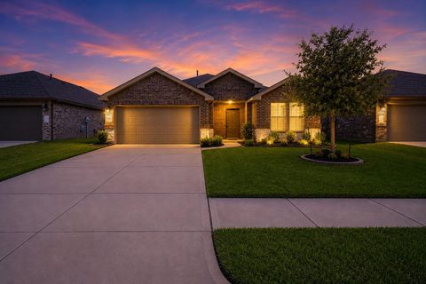 Photo of 927 Petunia Falls Lane, Rosharon, TX 77583 (MLS # 85984553)