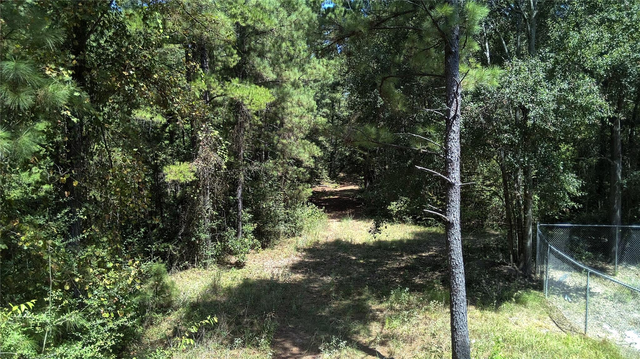 TBD Cove Lake Drive