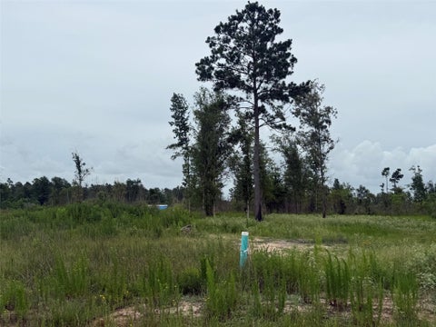 Photo of 390 Road 5879, Cleveland, TX 77327 (MLS # 31356015)