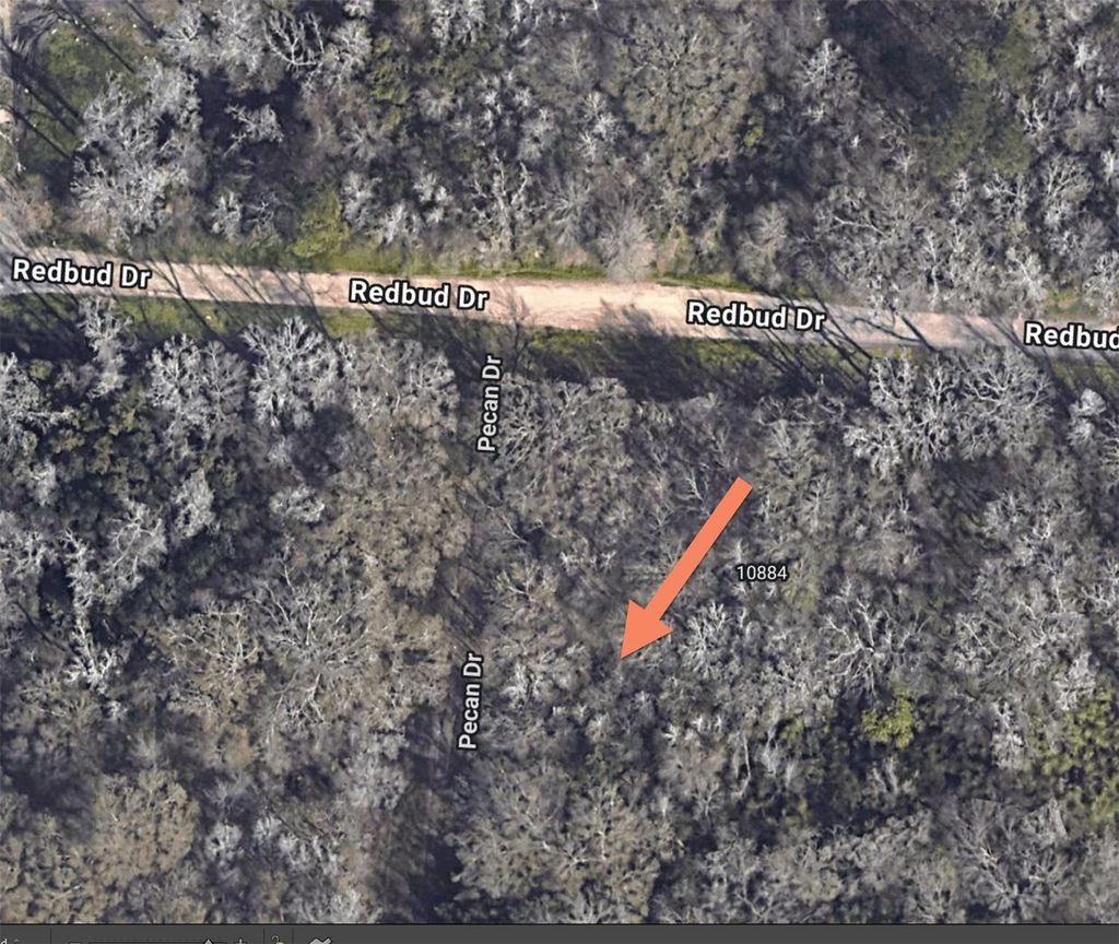 Photo of 0 Pecan Dr, Conroe, TX 77302 (MLS # 6034434)