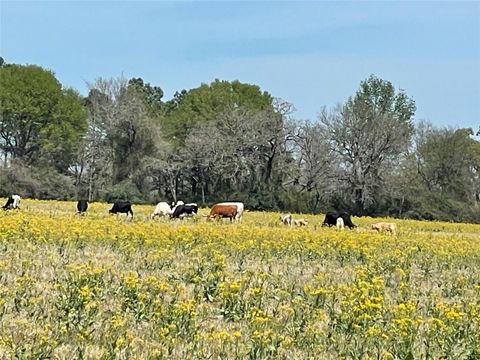 Vacant Land For Sale - 9877 County Road 112<br/> Leon County, Centerville, TX 75833