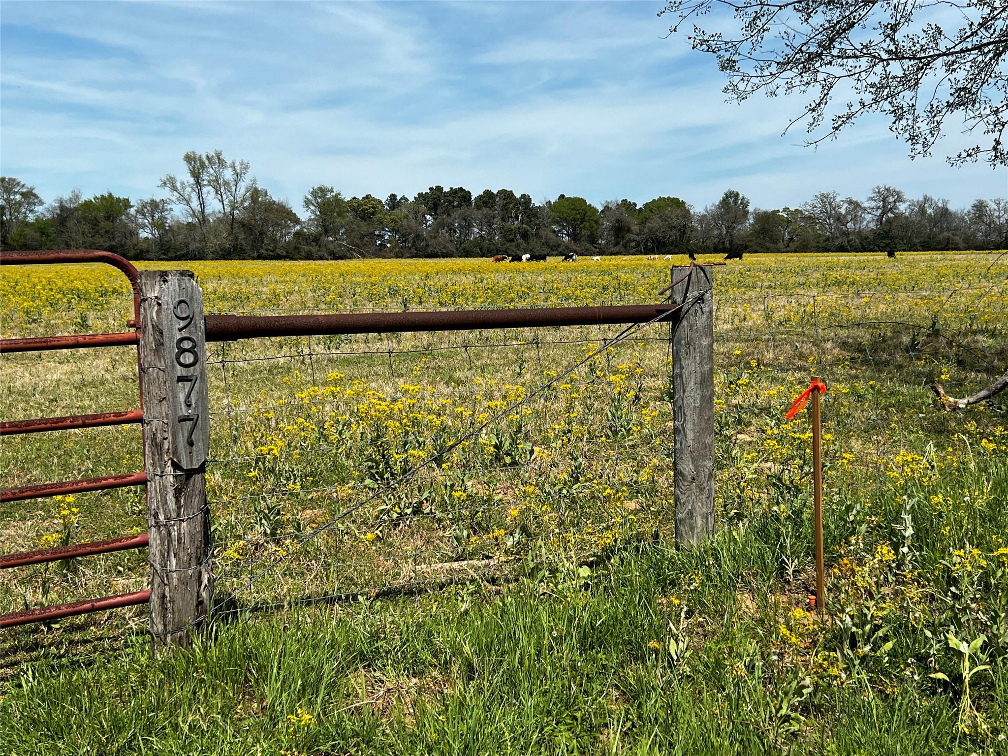 9877 County Road 112