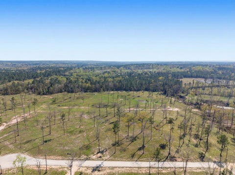 Photo of 6 Johnson Drive, Livingston, TX 77351 (MLS # 73204641)
