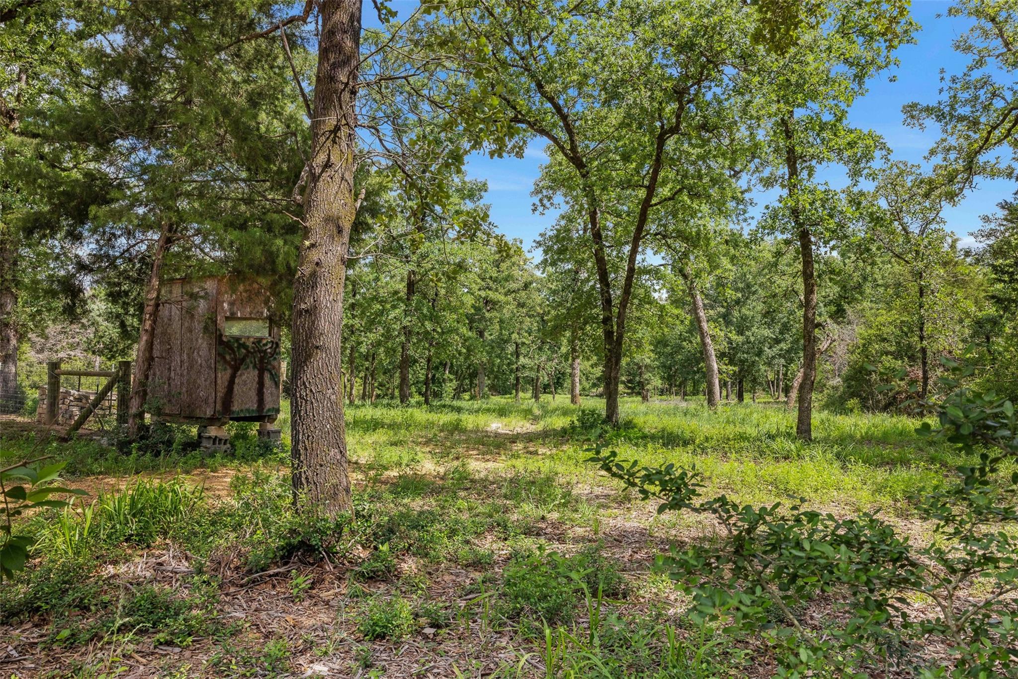 3205 County Road 308