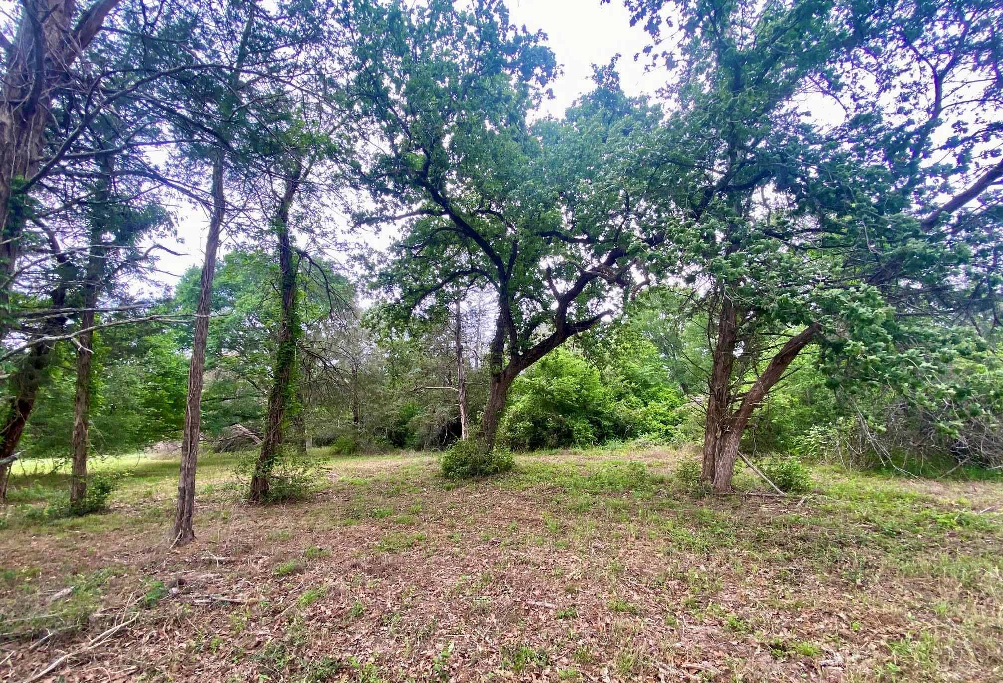 Lot 3 County Road 137