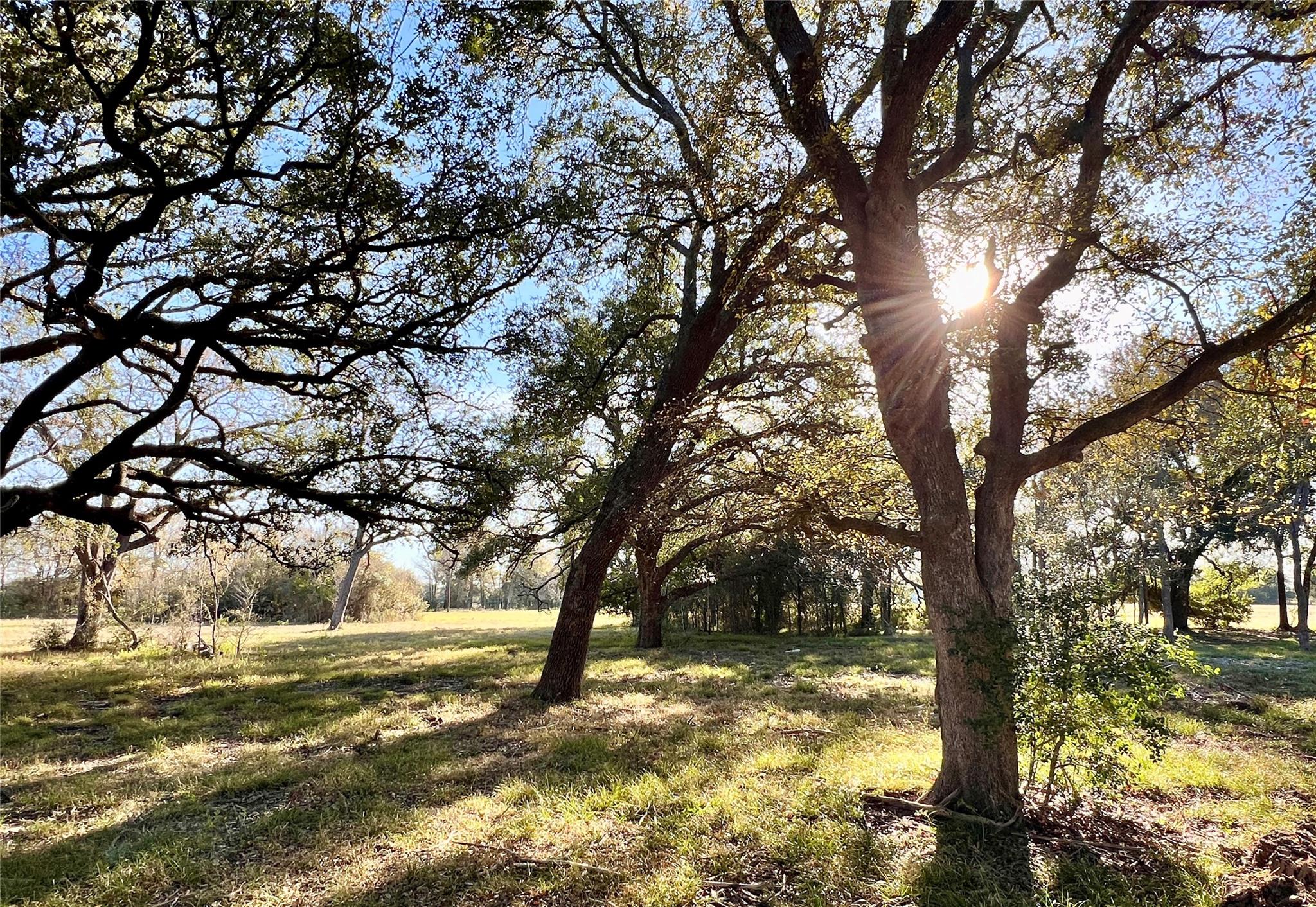 Lot 3 County Road 137