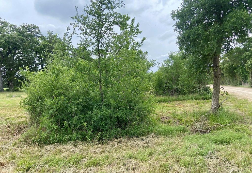 Photo of 3 County Road 137, Caldwell, TX 77836 (MLS # 749188)