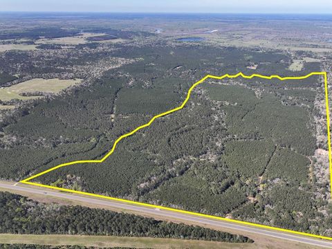Photo of 5 Highway 146, Livingston, TX 77351 (MLS # 81516880)