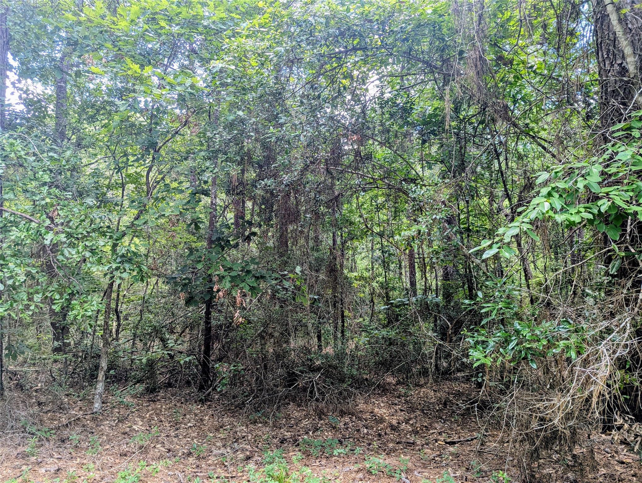 000 Ole Long Pull Road