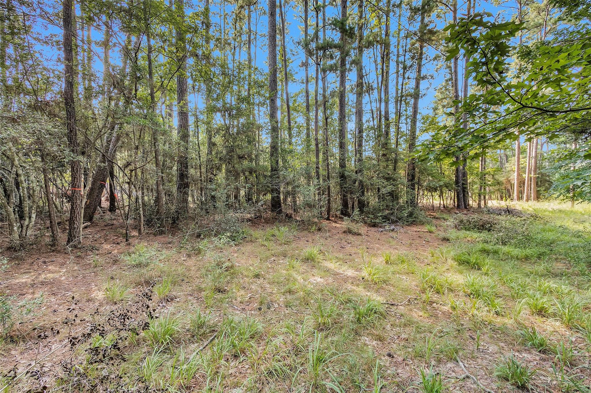 1505 Cheyenne Loop, Montgomery, TX, 77316