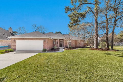 12651 Capricornus Drive Willis TX 77318