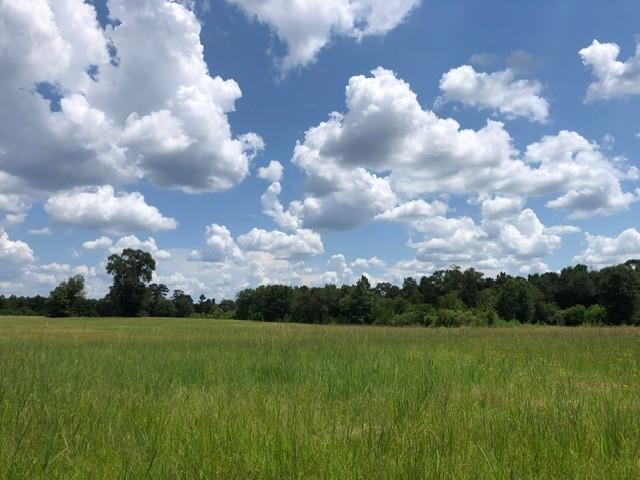 25094 Fm 1488 Road