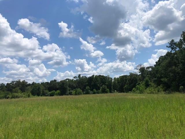 25094 Fm 1488 Road