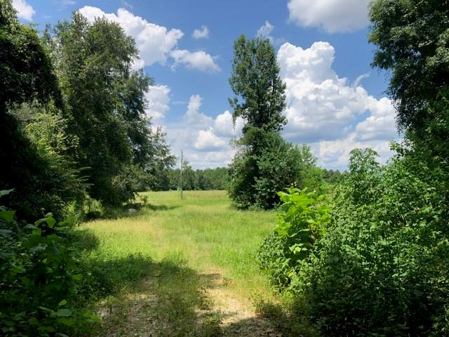 25094 Fm 1488 Road