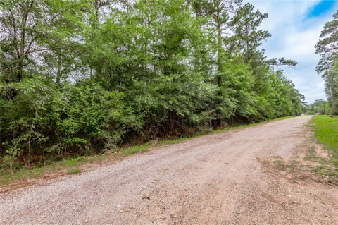Photo of 7 S Estate Drive, Trinity, TX 75862 (MLS # 83337831)