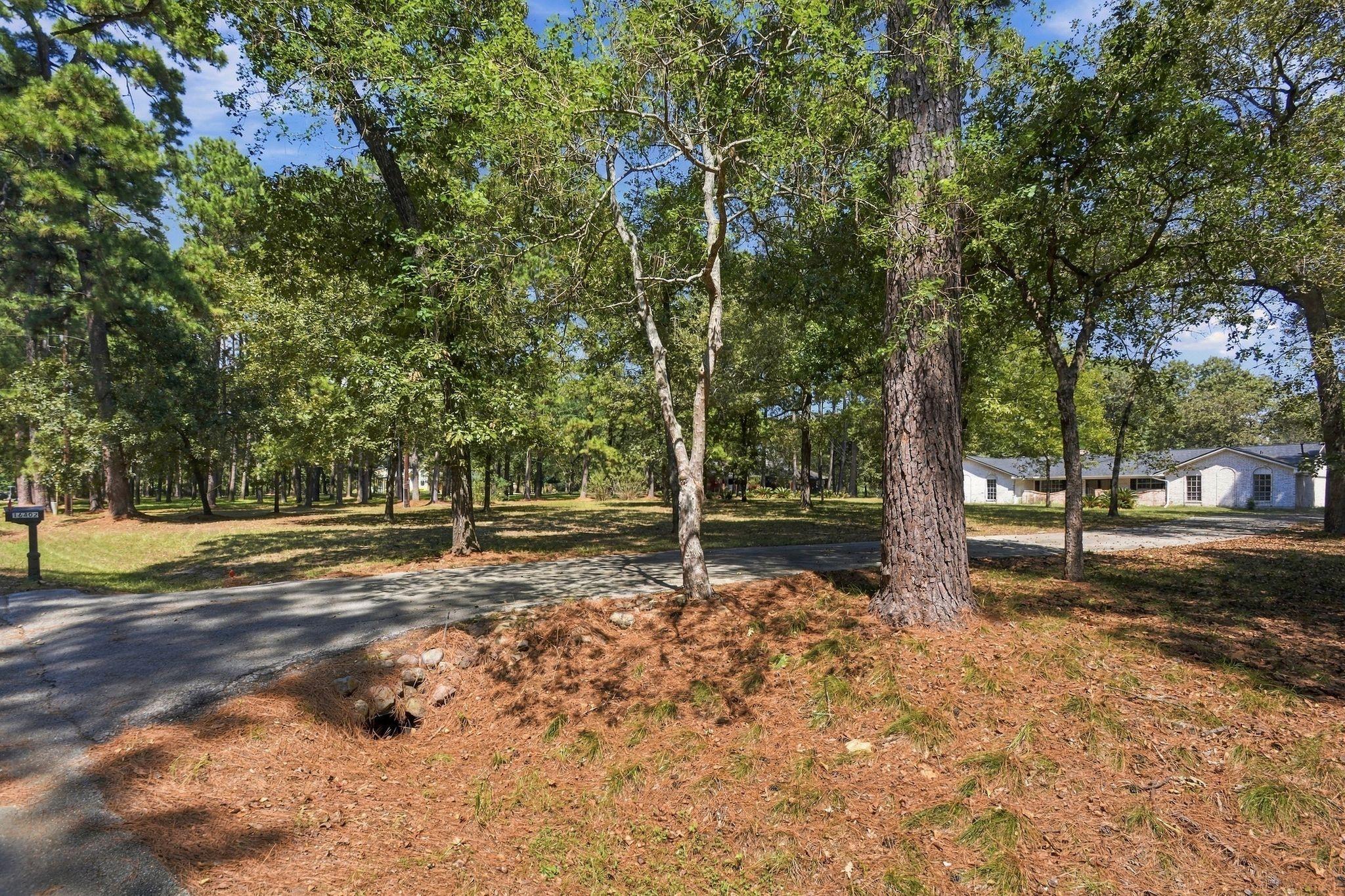 16402 Surrey Lane