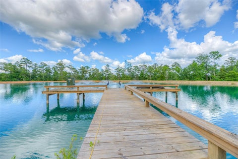 Photo of 8214 Fm 350 N, Livingston, TX 77351 (MLS # 10269207)