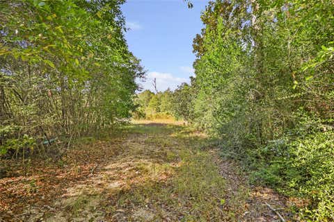 Vacant Land For Sale - 1224 Plum Pudding Road<br/> Livingston, TX 77351