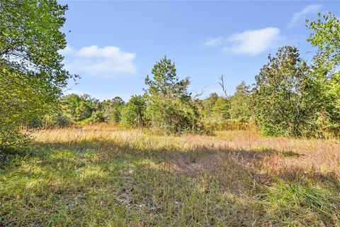 Photo of 1224 Plum Pudding Road, Livingston, TX 77351 (MLS # 69186569)