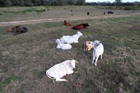 Tiny photo for 0 Hwy 35 E, Van Vleck, TX 77482 (MLS # 83436252)