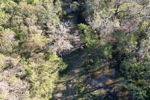 Tiny photo for 0 Hwy 35 E, Van Vleck, TX 77482 (MLS # 83436252)