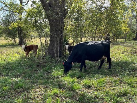 Tiny photo for 0 Hwy 35 E, Van Vleck, TX 77482 (MLS # 83436252)