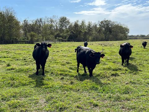 Tiny photo for 0 Hwy 35 E, Van Vleck, TX 77482 (MLS # 83436252)