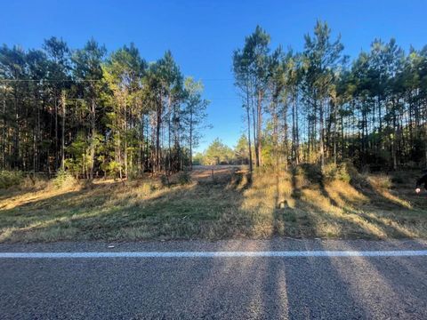Vacant Land For Sale - LOT 4 E Fm 942<br/> Livingston, TX 77351