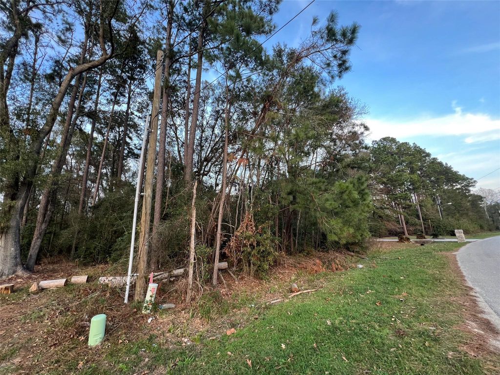 Photo of 19541 Desna Drive, Porter, TX 77365 (MLS # 52380460)