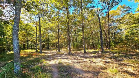 TBD Mt Zion Road S New Waverly TX 77358