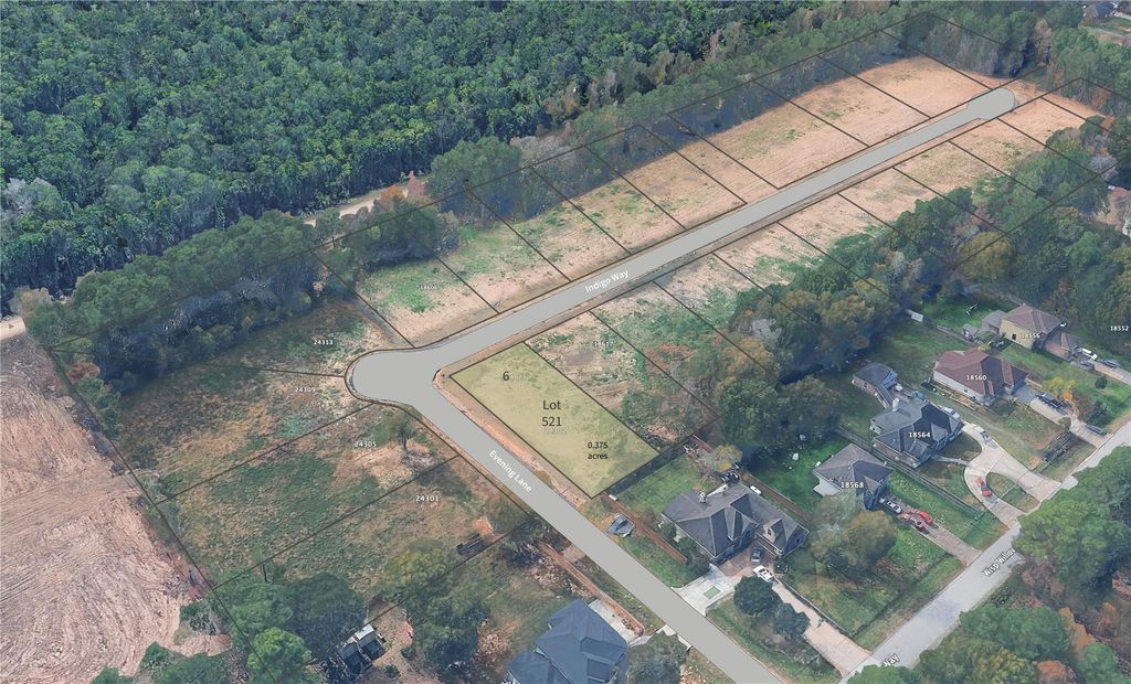 Photo of 521 Evening Lane, Porter, TX 77365 (MLS # 45239432)