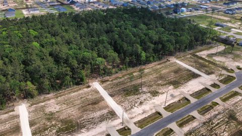 Photo of 18385 Bunsen Drive Dr, Conroe, TX 77306 (MLS # 11226962)