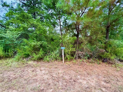 Photo of 0 Cotton Tail Drive, Waller, TX 77484 (MLS # 14633430)