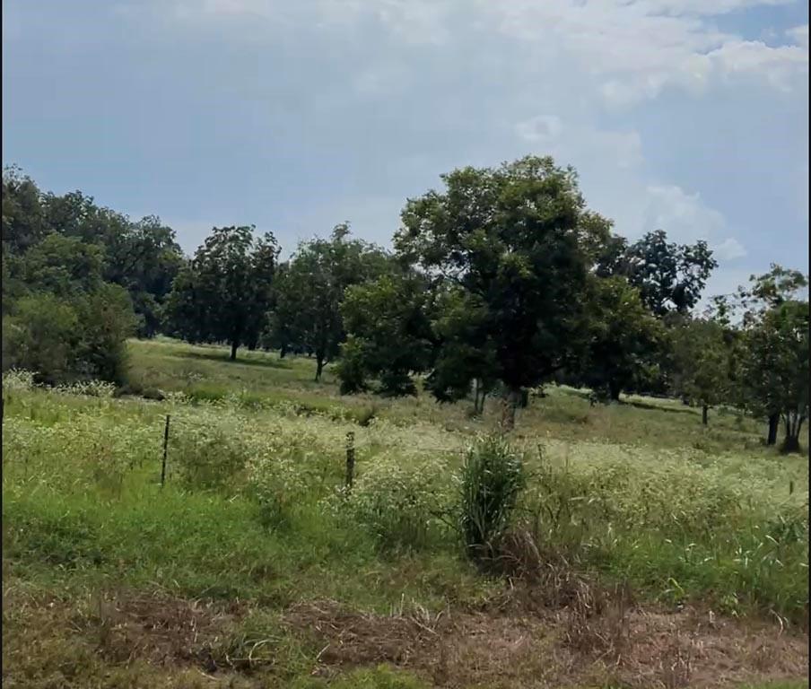 Tract #4 Hwy 21 E,