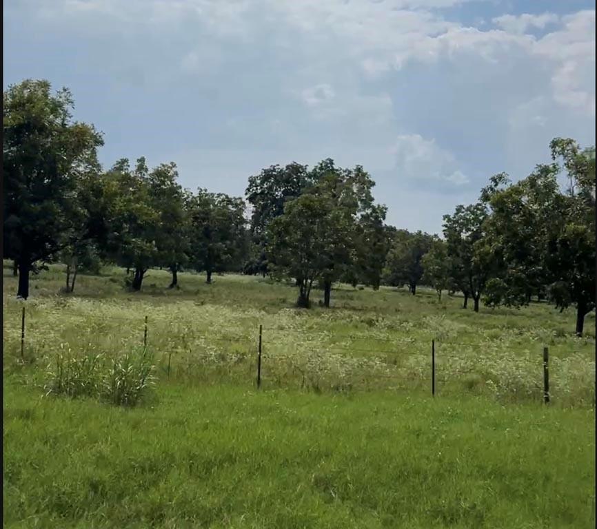 Tract #4 Hwy 21 E,