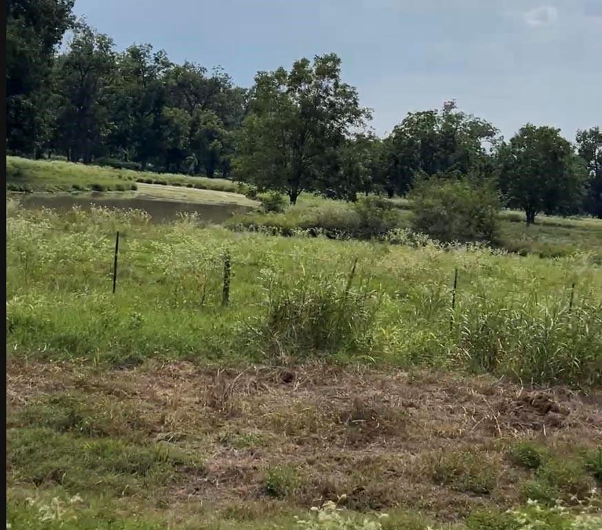 Tract #4 Hwy 21 E,